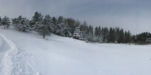 RichardsPow_jan615_pano